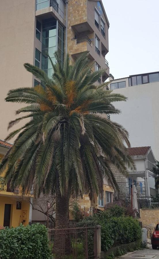 Apartman Centar Lux Budva Luaran gambar